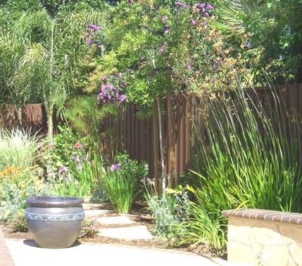 mardesich planting